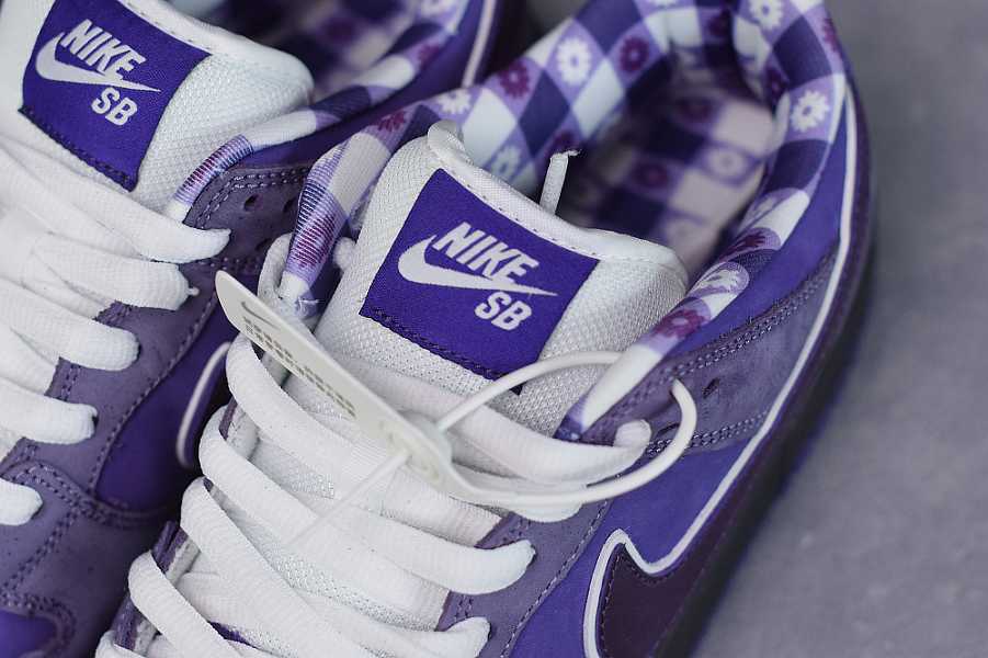 Concepts x Dunk Low SB