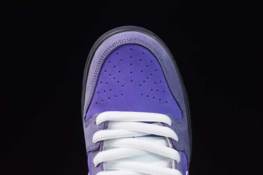 Concepts x Dunk Low SB