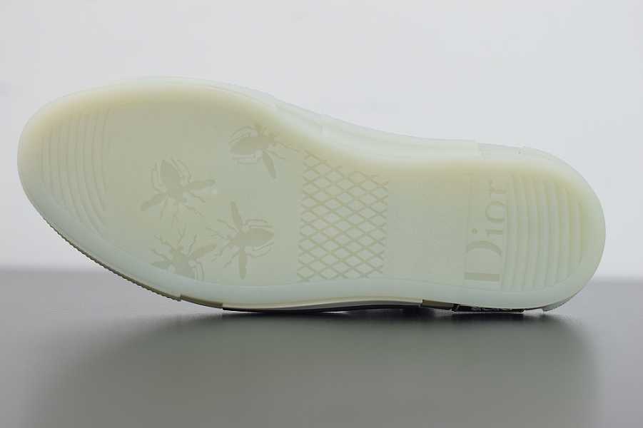 D10r  Oblique Sneakers T00480h069
