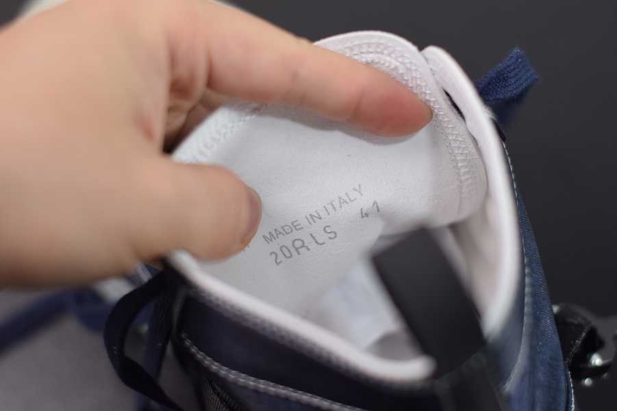 D10r  Oblique Sneakers T00480h069