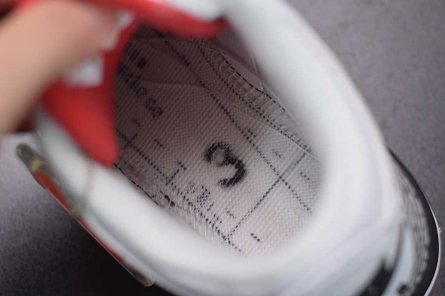 Air Jordan 3 OG NRGAJ3 923096-101