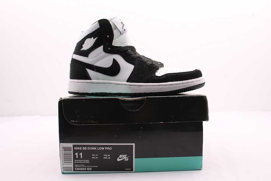 NIKE SB DUNK LOW PRO CN4504 100