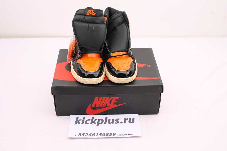 Air Jordan 1 Shattered Backboard 555088-028