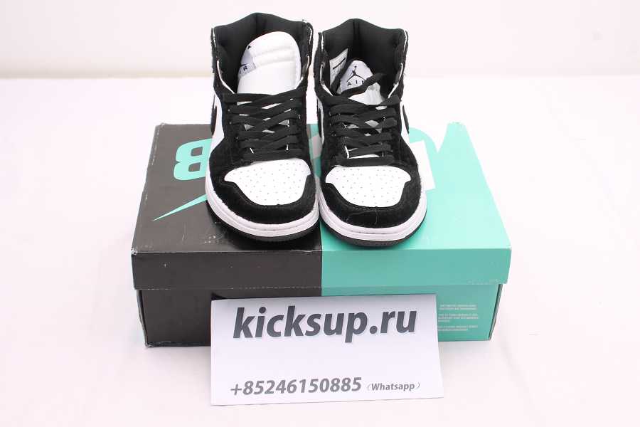 NIKE SB DUNK LOW PRO CN4504 100