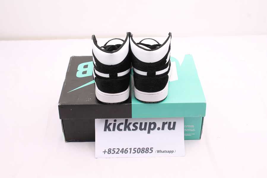 NIKE SB DUNK LOW PRO CN4504 100