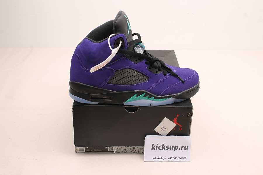 Air Jordan 5 Alternate Grape 136027-500