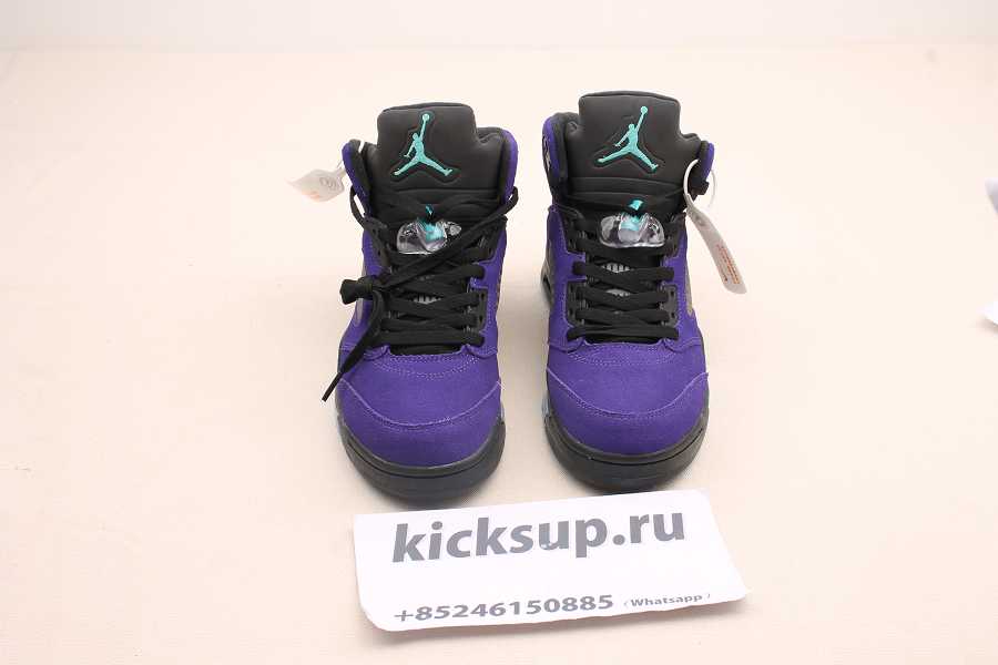 Air Jordan 5 Alternate Grape 136027-500