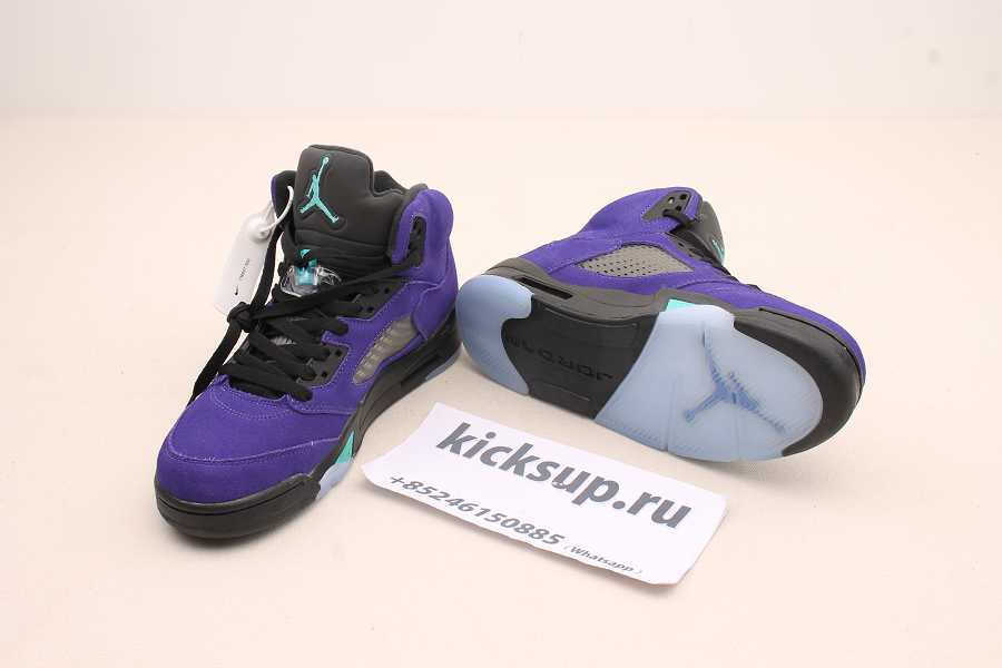 Air Jordan 5 Alternate Grape 136027-500
