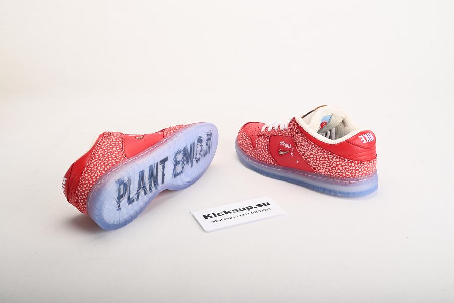 Nike Dunk Low Stingwater Magic Mushroom DH7650-600
