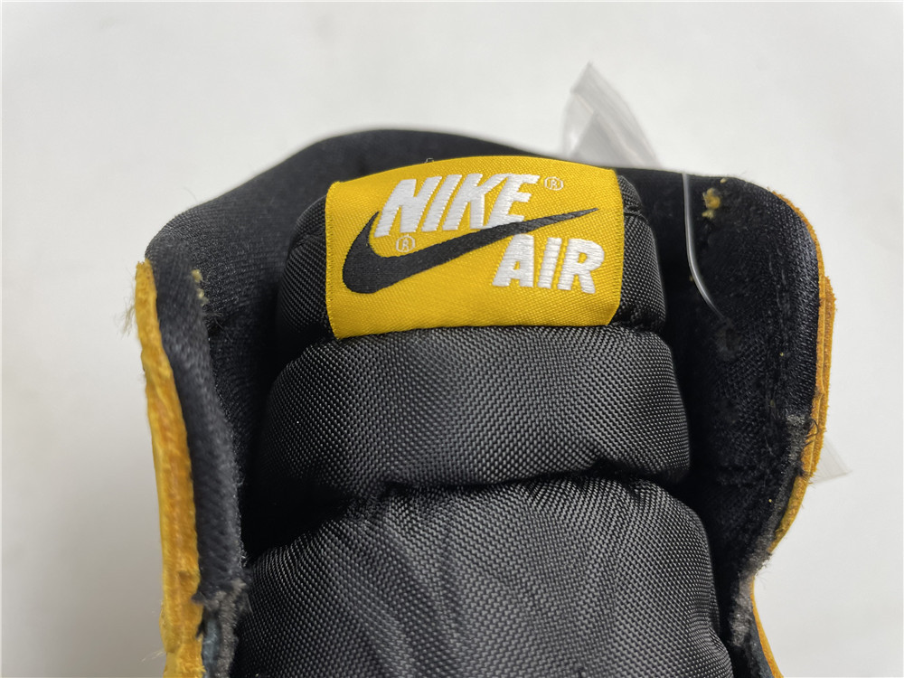 Jordan 1 Retro High Pollen 555088-701