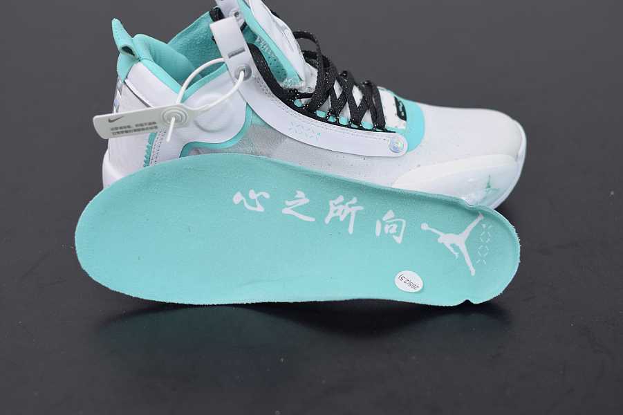 Air Jordan XXXIV PF AJ34 BQ3381103